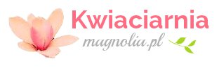 Kwiaciarnia internetowa Magnolia