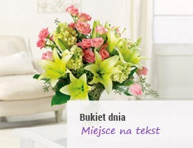 Baner 1